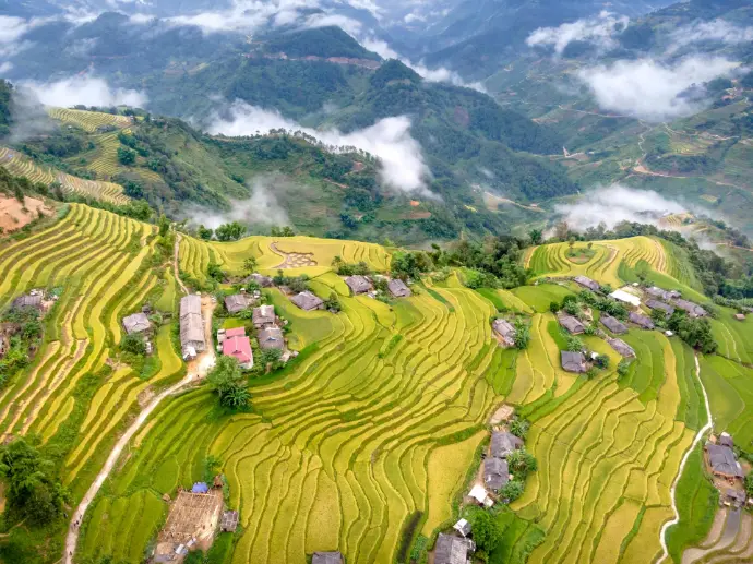 Rice terraces of Ifugao Rice terraces of Ifugao