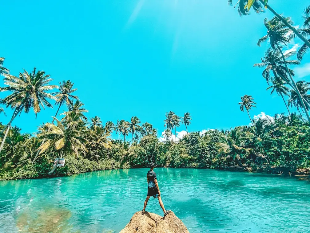 A person standing on a rock by a river, surrounded by lush greenery and palm trees